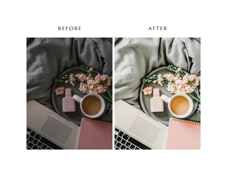 Veil Desktop & Mobile Bundle