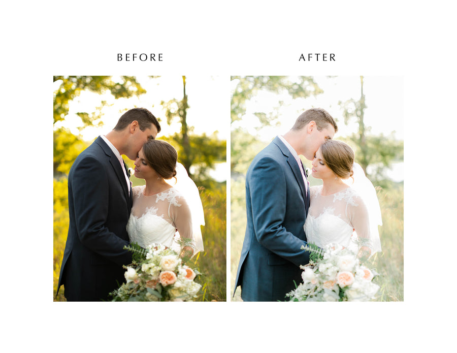 Veil Desktop & Mobile Bundle