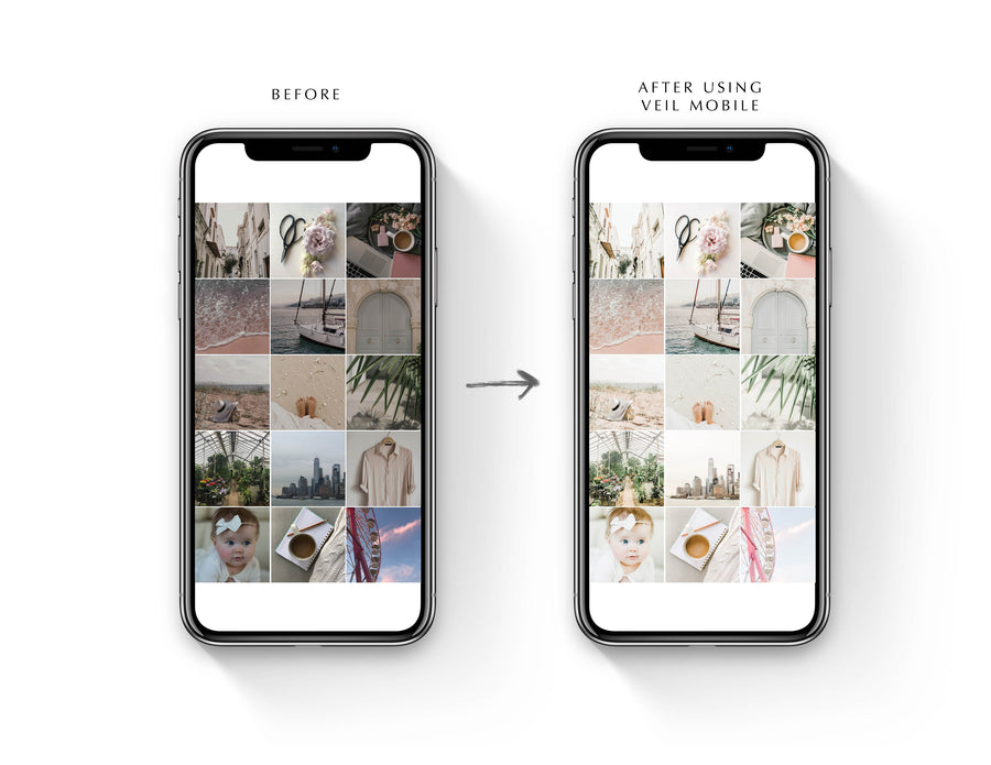 Veil Desktop & Mobile Bundle