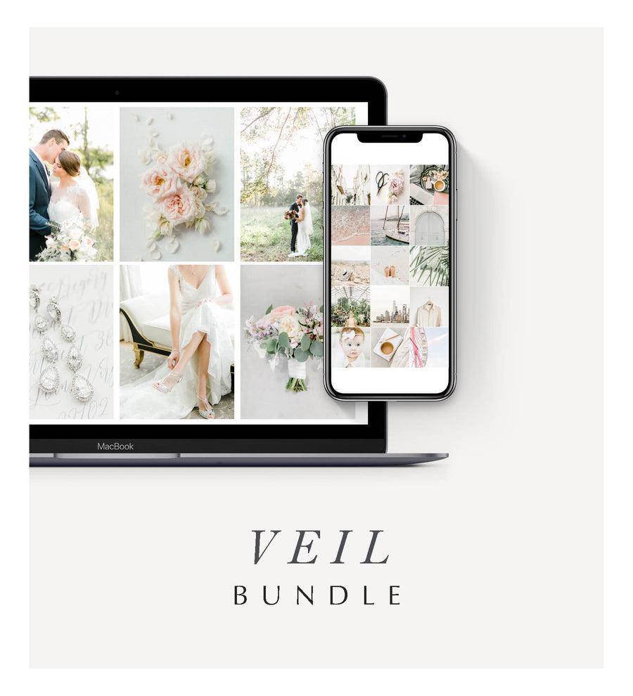 Veil Desktop & Mobile Bundle
